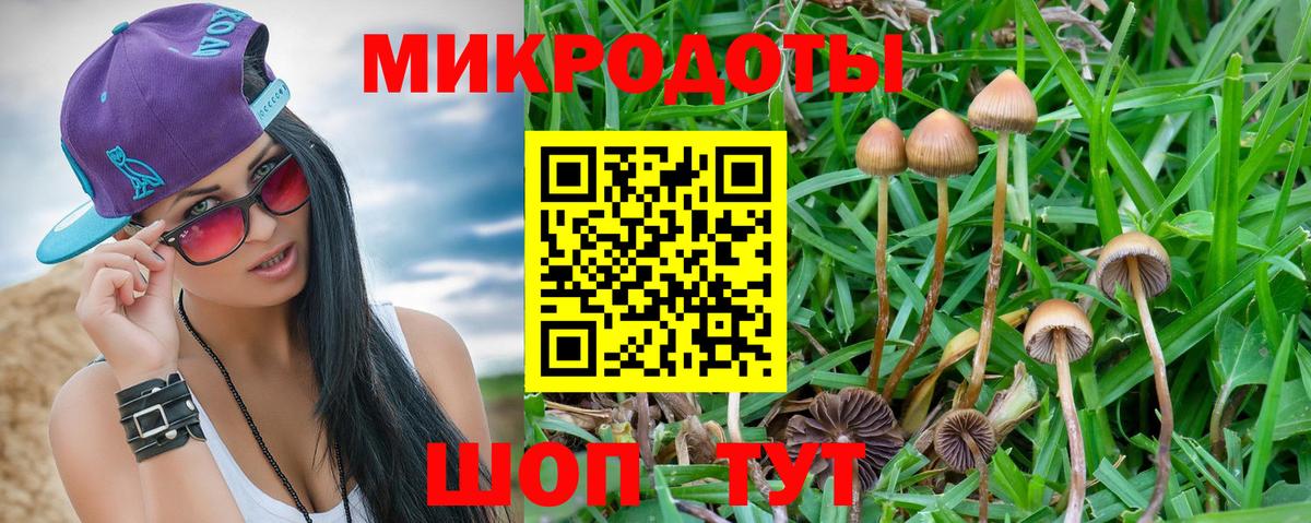 Галлюциногенные грибы MAGIC MUSHROOMS  Псилоцибиновые грибы прущие грибы  Дмитров  Вход с VPN 